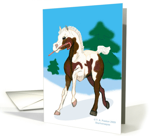 Candy Cane Christmas Colt card (499153)