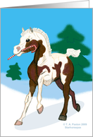 Candy Cane Christmas Colt card