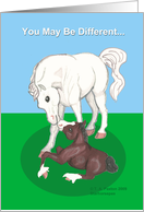 Differences Arabian mare & Clydesdale Foal Encouragement card