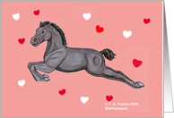 Valentine lippizaner colt card