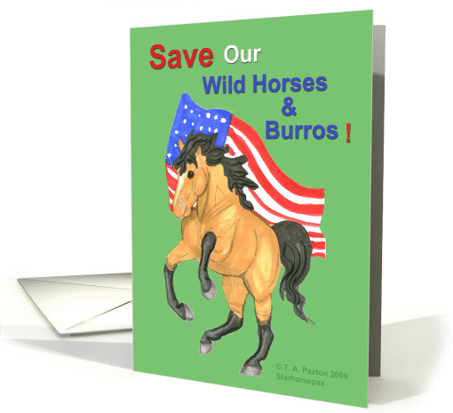 Buckskin Horse & American Flag-Save wild horses & burros card (509673)