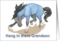 Bucking Blue Roan Horse Hang in there Grandson card