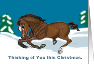 Laying down horse colt Thinking of you Christmas card