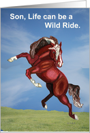 Wild Spooking Horse Encouragement to Son card