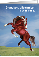 Wild Spooking Horse Encouragement to Grandson card