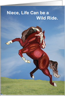Wild Spooking Horse Encouragement to Niece card