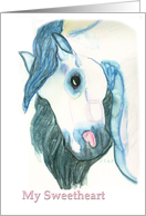 Andalusian Horse Head My Sweetheart Valentine card
