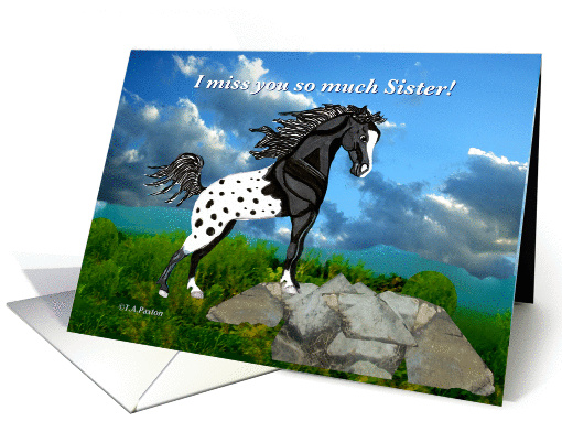 Black Appaloosa Horse Miss You Sister card (520529)