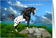 Black Appaloosa Horse Miss You Sister card