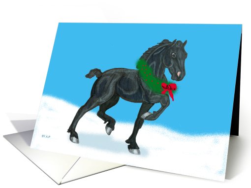 Black Friesian Foal christmas card (533228)