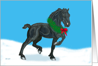 Black Friesian Foal christmas card