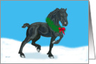 Black Friesian Foal christmas card