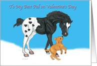 Hearts Appaloosa...