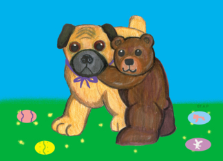 Pug Dog and Teddy...