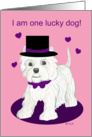Lucky Dog Westie Valentine card