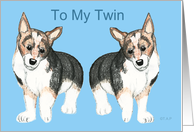 Corgi Dog Twins...