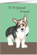Corgi Dog Special Friend Birthday card