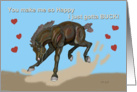 Bucking Hearts Valentine Foal for Friend card