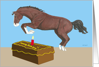 Jumping Horse Birthday card