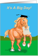 College Graduation Belgian Draft Horse card