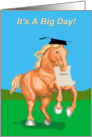 HIgh School Graduation Belgian Draft Horse card