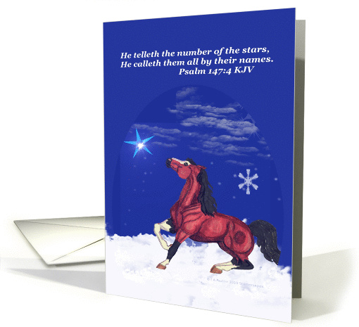 Psalm Horse Encouragement card (708942)