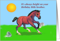 Bay Horse Colt Little Brother Birthday card
