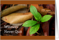 Winners never quit card