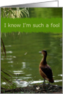 I know I’m such a fool card