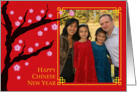 Denise’s Chinese New Year Card