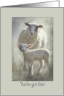 You’ve Got This Thinking of You During Coronavirus Cute Smiling Lamb card