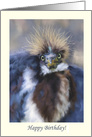 Happy Birthday Cute Bird with Wild Hair Coronavirus card