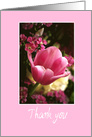 Thank You for Flowers, Pink Tulip card