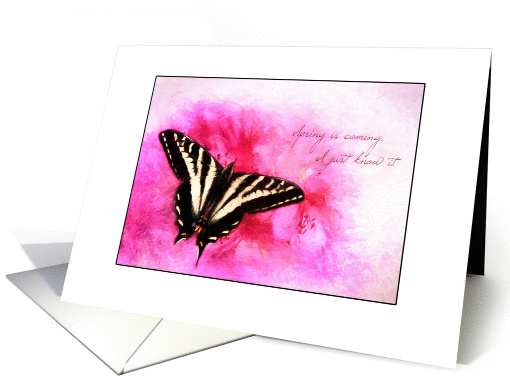 Spring is Coming card (1365364)