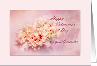 Special Grandmother Happy Valentine card