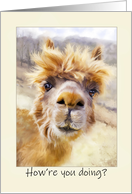 How’re You Doing? Coronavirus, Shelter in Place card