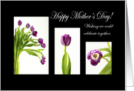Happy Mother’s Day with Colorful Tulips Coronavirus, Shelter in Place card