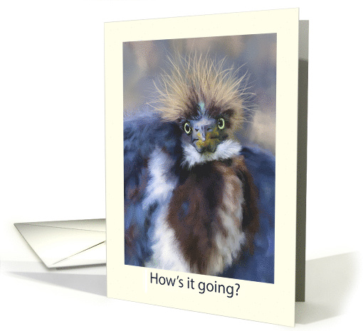 How's It Going Silly Bird with Bad Hair Coronavirus card (1619502)