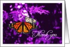 Thank You card Purple background with Orange Monarch Butterflies card