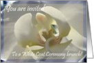 White Coat Ceremony brunch invite card