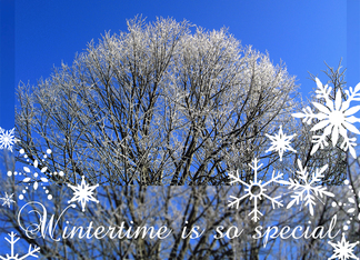 Wintertime Anniversary Special time with snowflakes and blue sky