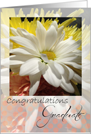 congratulations Pharmacy school Graduate card