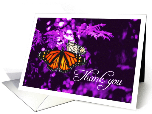 Thank You card Purple background with Orange Monarch Butterflies card