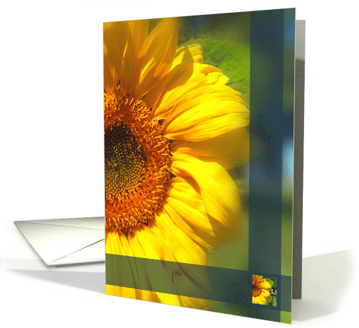 Sunflower card (517949)