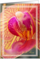 Get Well Soon Orchid card