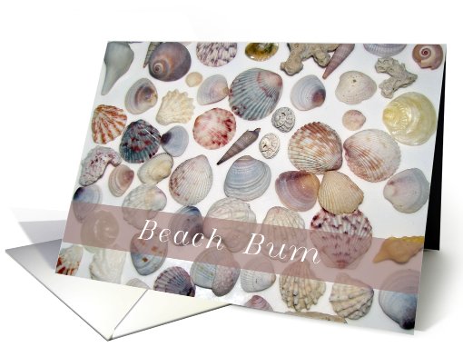 Beach Bum, shells card (608583)