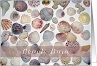 Beach Bum, shells card