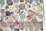Beach Party Invite, Seashells card