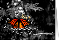 Monarch Butterfly Engagement Congratulations card