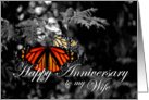 Happy Anniversary to my Wife Monarch Butterfly card